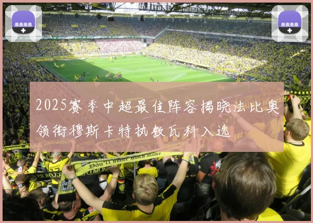 2025赛季中超最佳阵容揭晓法比奥领衔穆斯卡特执教瓦科入选