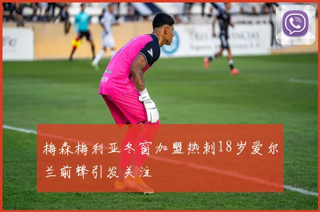 梅森梅利亚冬窗加盟热刺18岁爱尔兰前锋引发关注