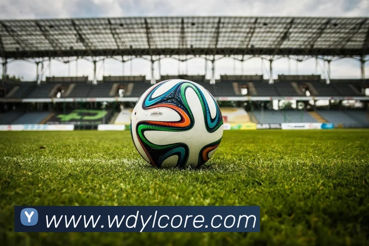 多媒体互动体验